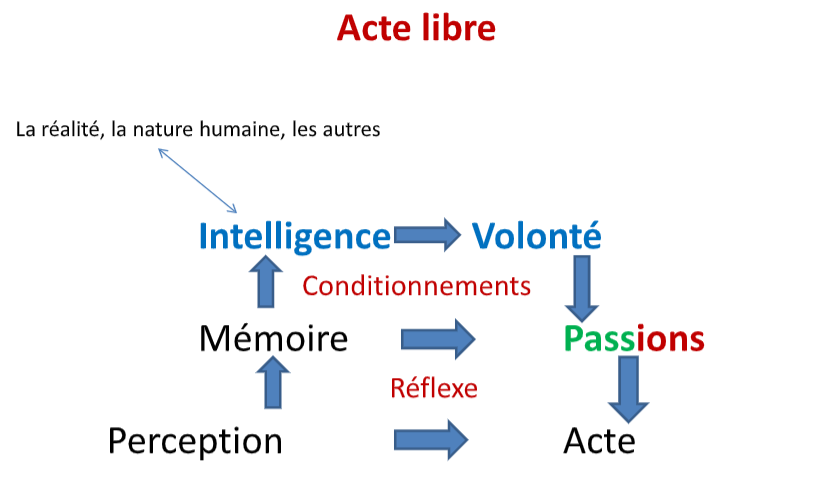 Schéma "Acte libre"